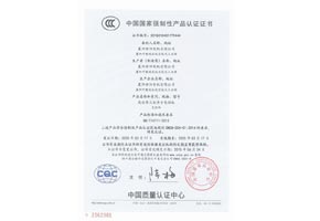 YE2-高效3C认证书