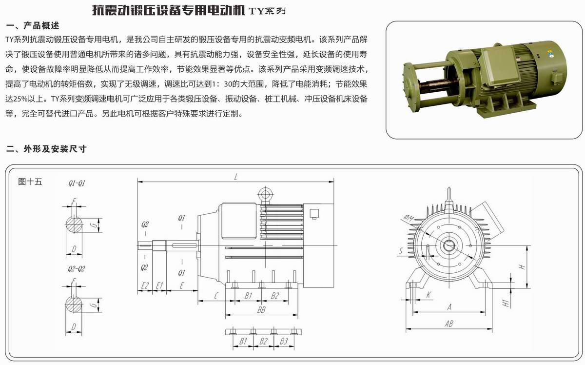 抗震动锻压设备专用电动机  TY系列 01